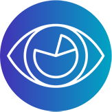 Vision icon